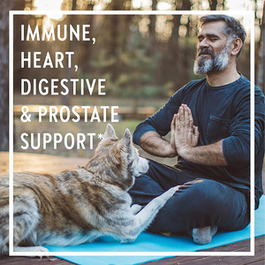 Oem/ODM nhà máy chăm sóc sức khỏe toàn bộ thực phẩm tự nhiên <span class=keywords><strong>Vitamin</strong></span> tổng hợp hữu cơ chiết xuất <span class=keywords><strong>Vitamin</strong></span> tổng hợp Gummies cho nam giới - Product Image 4