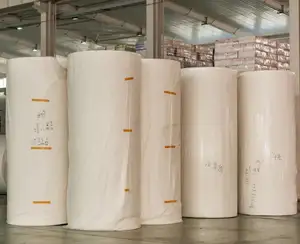 Rollo Madre al por mayor de fábrica, proveedores de rollo Jumbo blanco personalizado, materia prima de papel higiénico