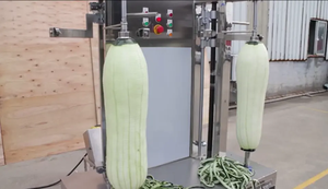 Machine à éplucher la citrouille et la <span class=keywords><strong>courge</strong></span>, automatique et verticale - Product Image 4