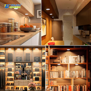 <span class=keywords><strong>2025</strong></span> New Arrivals DC12-24V Mini <span class=keywords><strong>LED</strong></span> Vòng 3 ''3 W Puck Ánh Sáng 2700K 3000K 3500K 4000K 5000K Mỏng <span class=keywords><strong>LED</strong></span> Dưới Ánh Sáng Nội Các - Product Image 6