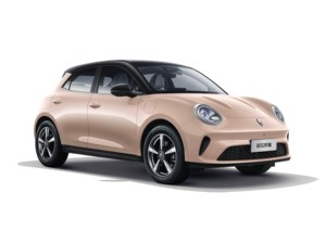 2025 Great Wall Good Cat Motor <span class=keywords><strong>Ora</strong></span> Véhicule électrique 5 places Autonomie de 100 km-New Energy Car - Product Image 2