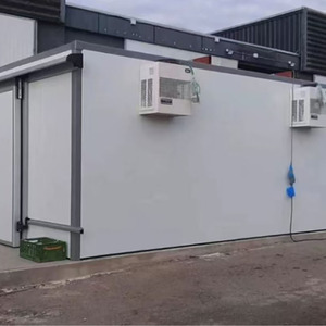 Dondurucu depolama ünitesi soğutucu buzdolabı konteyner içinde yürümek 75mm 100mm PU paneli sandviç çelik Panel soğuk oda