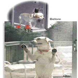 Moustiquaire transparente en Polyester <span class=keywords><strong>pour</strong></span> animaux de compagnie, gris charbon de bois, enduit de PVC, mailles <span class=keywords><strong>pour</strong></span> chiens et chats - Product Image 6