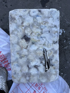 Calmar géant congelé de nouvelle saison à bon <span class=keywords><strong>prix</strong></span> - Product Image 4