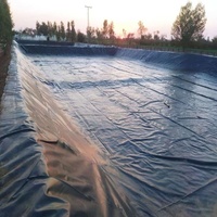 Geomembrana de HDPE de 2 mm con Diseño Moderno, Ecológica y Anti-UV para Revestimientos de Vertederos, Embalses y Granjas de Camarones