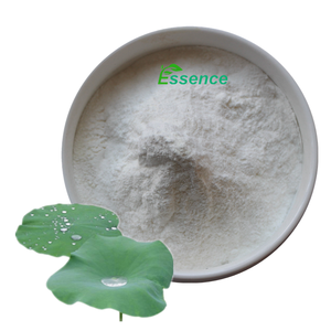 Pflanzen extrakt Lotus blattex trakt 98% Nuciferine Powder CAS 475-83-2 Natürlicher getrockneter Lotus blattex trakt - Product Image 1