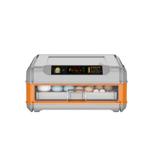 Incubateur automatique à fréquence d'éclosion haute capacité de 64 œufs, conteneur commercial