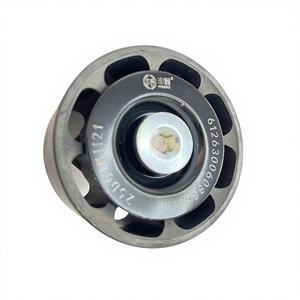 612630060836 Weichai Motorzubehör Verlängerungs-Umlenkrolle 612630060836-3017 für LKW - Product Image 4