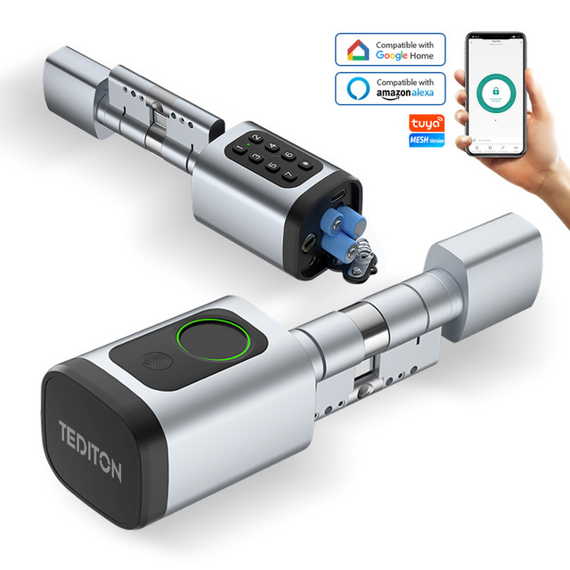 Waterproof Wifi Ttlock App Wireless Euro Adjustable Electronic Digital Rfid Card Biometric Fingerprint Tuya Smart Cylinder Lock