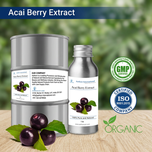 Extrait de fruit d'açaï biologique Aethon International, ingrédient liquide soluble dans l'eau, en formats de 100 ml à 1 L - Product Image 2