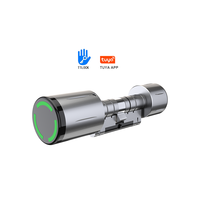 Serrure de porte intelligente à cylindre européen étanche avec application TTLock, installation facile, entrée par carte RFID, clé intelligente, serrure électronique