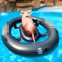 Flotador Inflable Gigante con Forma de Toro, Juguete Acuático Resistente de PVC con Asas para Adultos, para Piscina, Lago, Playa, Verano, 94x77 Pulgadas