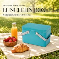 Boîte à lunch rectangulaire en fer blanc personnalisée avec logo, avec poignées, 208x120x130mm, emballage alimentaire en fer blanc, boîte métallique pour gâteaux et pain, vente en gros