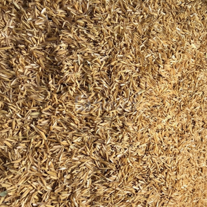 แกลบธรรมชาติ | ผลพลอยได้ทางการเกษตรจากธรรมชาติสำหรับเชื้อเพลิงการแก้ไขดินการใช้เครื่องนอนสัตว์และอุตสาหกรรม - Product Image 1