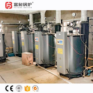 Caldera Futura de 100 kg/h, Caldera de Vapor de Baja Presión, Automática con un Solo Clic, Horizontal, de Gas Natural/GLP, para Calefacción en África - Product Image 6