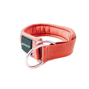 Hondenriem met neopreen voering in een aangepaste kleur - Product Image 4