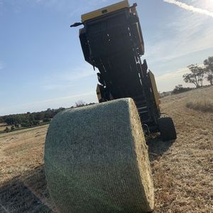 Film 100% PP pour luzerne, anti-UV, haute résistance - Product Image 2