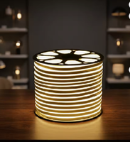 Bande néon RGB 7*13mm 12V/24V avec garantie de 3 ans pour la décoration des rampes d'escalier