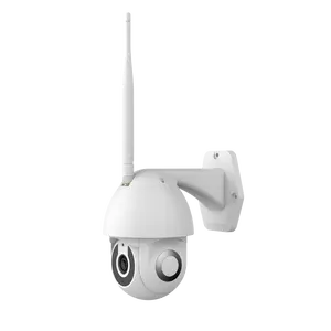 Golden Vision 2013 Best selling Waterproof Network Video Wireless NVR Wifi Surveillance Camera Cctv Dome Camera Outdoor