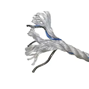 Vendita calda 3 fili intrecciati corda da pesca in PP da 12MM con piombo bianco con reti da pesca traccianti blu