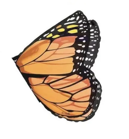 Dreamy Children Monarch Butterfly Wings Makeup Cape for Christmas Gift