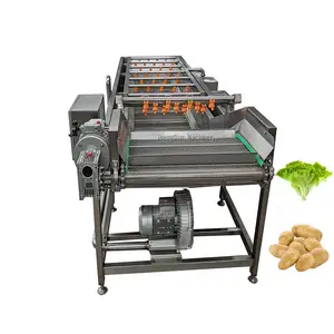 Patates pancarı sebze yıkayıcılar/endüstriyel şeker hurma tarihleri meyve zeytin yıkama makinesi