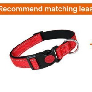 Ensemble collier et laisse pour chien en nylon réfléchissant rembourré en néoprène, collier et laisse durables pour promener les animaux, vente en gros - Product Image 5