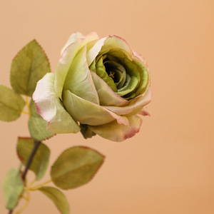 Flores Artificiales de Rosa Escarchada Estilo Vintage, Seda de Alta Simulación, Accesorios de Decoración para Bodas y Hogar - Product Image 4