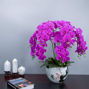Longue durée 9 têtes Phalaenopsis UV protégé Latex <span class=keywords><strong>fleurs</strong></span> vraie touche artificielle balcon Rail <span class=keywords><strong>d</strong></span>écor Faux forme retenue - Product Image 1