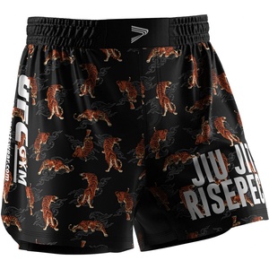 Vêtements de sport pour hommes de haute qualité, shorts et t-shirts ajustés pour la course à pied et la musculation, vente en gros de vêtements d'arts martiaux - Product Image 3