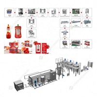 Ligne de production automatique de jus de fruits Sanfu avec pasteurisateur pour la sauce tomate, capacité de 15 tonnes/heure