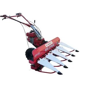 Niedriger Preis 4 Reihen Leicht gewicht Hand Walking Small Corn Harvester für Alfalfa