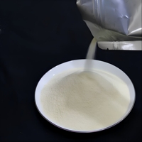 Épaississants en poudre de crème non laitière de qualité alimentaire, à base de graisse végétale, certifiés Halal et Casher FSSC22000, en vrac de 25 kg pour Bubble Tea et café
