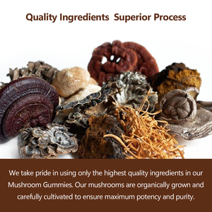 Compléments alimentaires à base de plantes Jiaoming OEM Private Label, gommes aux champignons <span class=keywords><strong>Lion</strong></span>'s <span class=keywords><strong>Mane</strong></span> - Product Image 5