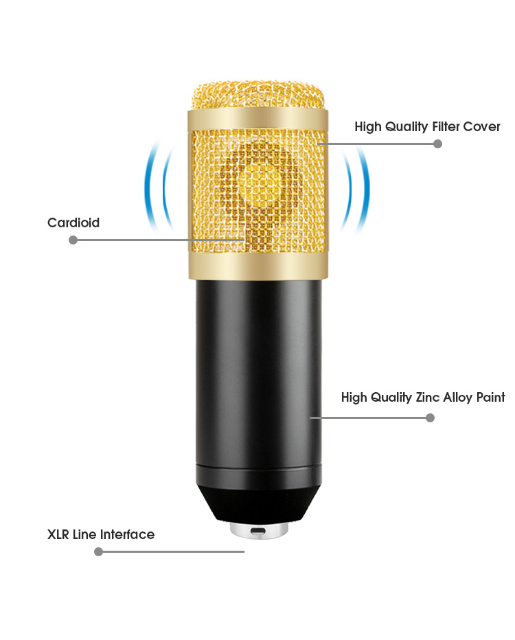 Professional Studio Recording Microphone BM 800 Voice Condenser Mic