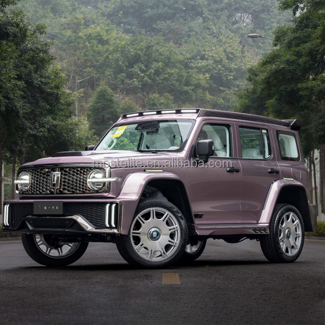 2025 Большой Настенный бак 300 внедорожная модификация 4WD внедорожник 5-дверный 5-местный в наличии новый автомобильный Автомобиль