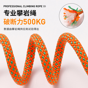 P-chain/P-rope <b>dog</b> <b>leash</b>/walking chain for small, medium, and large <b>dogs</b>, suitable for training, explosion-proof, knot-tying, - Product Image 5