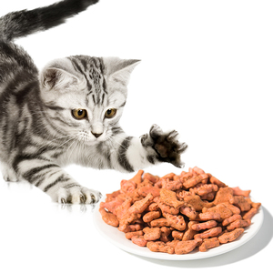 Galletas de Hierba Gatera para Gato, Comida Seca con Sabor a Atún OEM, Forma de Pescado - Product Image 6