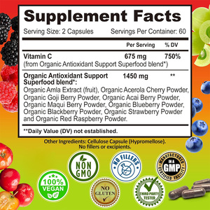 Complejo de Vitamina C de Alimentos Integrales 675mg, Bayas Orgánicas, Sin OMG, Vegano, 120 Cápsulas, Apoyo Inmunológico de Superalimentos Antioxidantes Orgánicos - Product Image 6