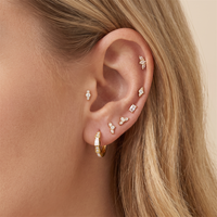 Boucles d'oreilles pendantes HOVANCI en acier inoxydable plaqué or corail, forme C, zircon, nouveau design