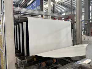 Membrane TPO moderne, résistante à l'eau et écologique pour l'étanchéité des tunnels - Product Image 6