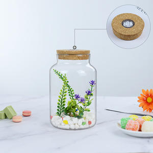 Terarium Kaca Mini DIY dengan Lanskap Hutan, Tutup Gabus Kayu, dan Lampu LED untuk Dekorasi Meja - Product Image 2