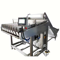 Bosbessen Sorteermachine Lychee Abrikozendata Blueberry Lineaire Weegverpakkingsmachine Lijn
