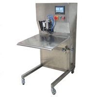 Nouvelle machine de remplissage semi-automatique pour usine de production de boissons personnalisée, 1-25l, sac, boîte, remplisseur aseptique BIB, pompe en acier inoxydable
