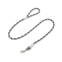 Laisse pour chien moderne, durable et flexible avec crochet, en nylon de haute qualité, idéale pour les promenades au parc et à la plage