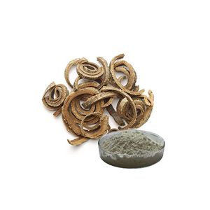 Экстракт магнолии 98% (хонокиол и магнолол) в порошке - Product Image 2