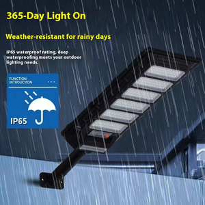 Farola Solar LED para Exteriores con Encendido/Apagado Automático del Anochecer al Amanecer para Iluminación de Caminos en Pueblos, Escuelas y Campus - Product Image 3