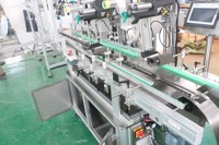 Machine d'étiquetage automatique de conteneurs SKILT pour boîtes de fraises, étiqueteuse de plateaux, haute précision, portable