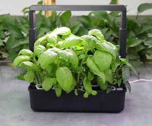 Sistema de Cultivo Hidropónico Interior Inteligente con Espectro Ajustable y 15 Cápsulas LED - Product Image 4