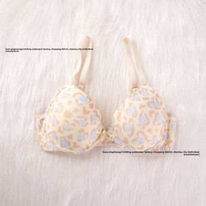 Soutien-gorge push-up sexy imprimé léopard à fleurs européennes et américaines pour <span class=keywords><strong>Amazon</strong></span> Xiyin Meilleure vente Contrôle ferme <span class=keywords><strong>Sous</strong></span>-vêtements pour femmes - Product Image 6